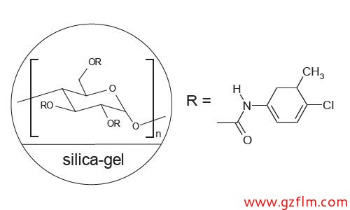 FLM Chiral NX(2)