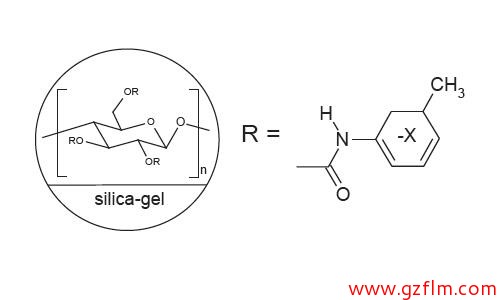 FLM Chiral ND